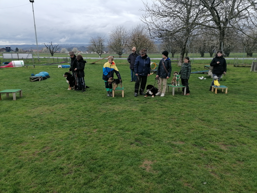 Hundekurs