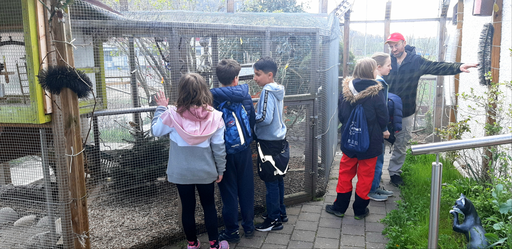 Tierparadies mit Pizzaplausch