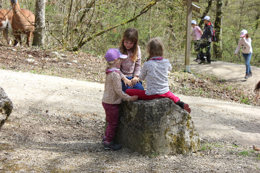 Packziegen und Lamatrekking