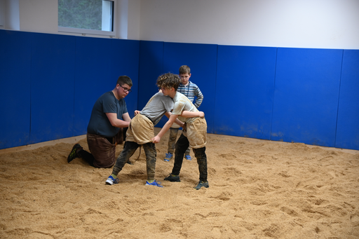 Schwingen
