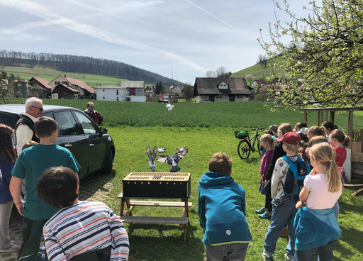 Kleintierpflege