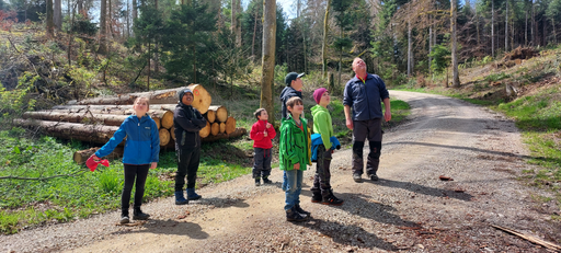 Wald - unterwegs mit dem Förster