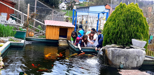 Tierparadies mit Glaceplausch