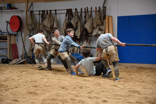 Schwingen